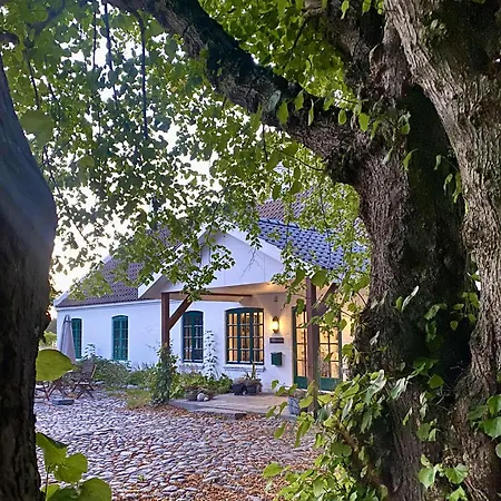 Hotel Nygaard Livsnyderi *