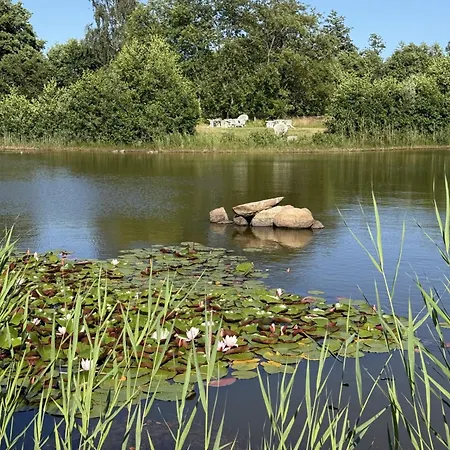 Nygaard Livsnyderi Hotel Laeso