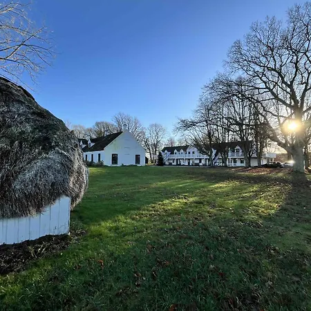 Nygaard Livsnyderi Laeso