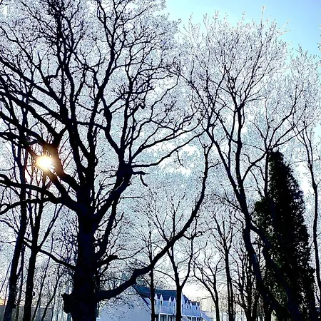 Nygaard Livsnyderi * Laeso