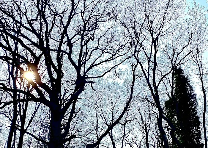 Nygaard Livsnyderi * Laeso